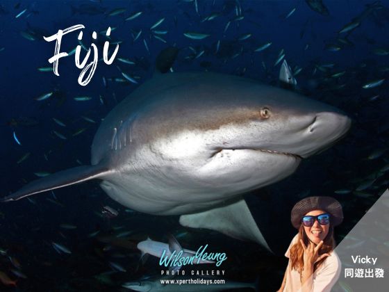 2026-09-13 Fiji The Pearl 8D5N - Travel with Vicky